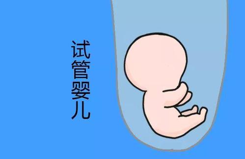 本院简介